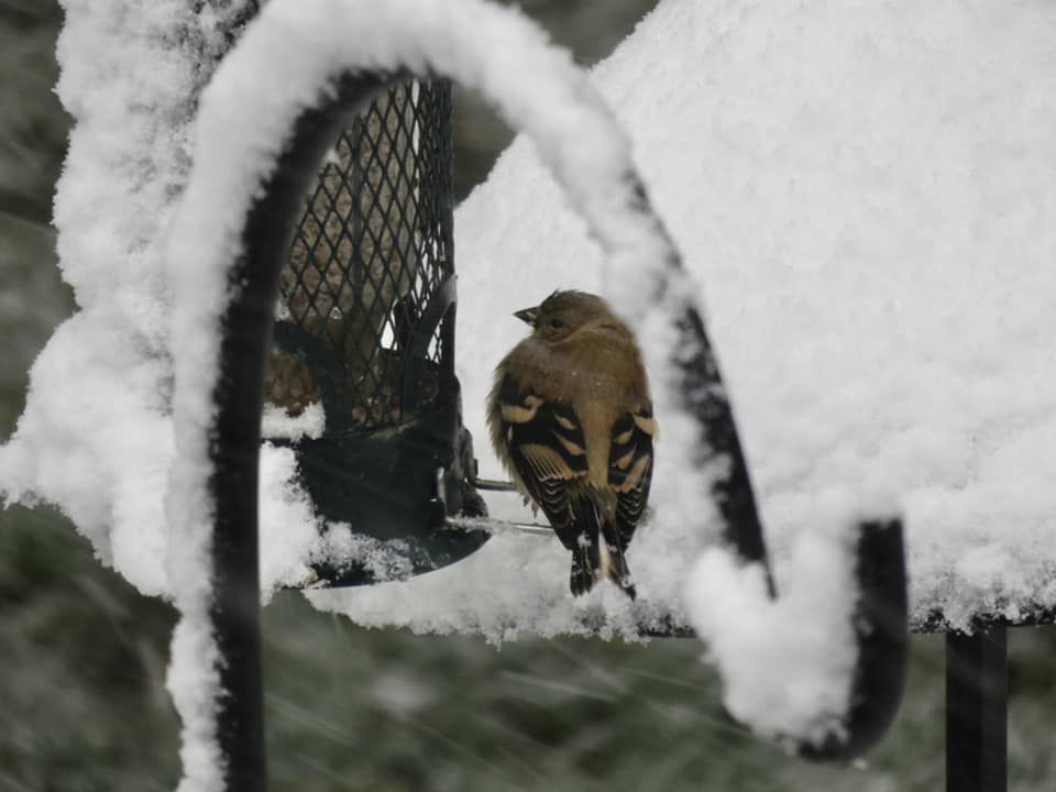 Snow, 10/14